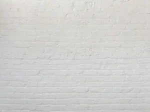 소셜믹스